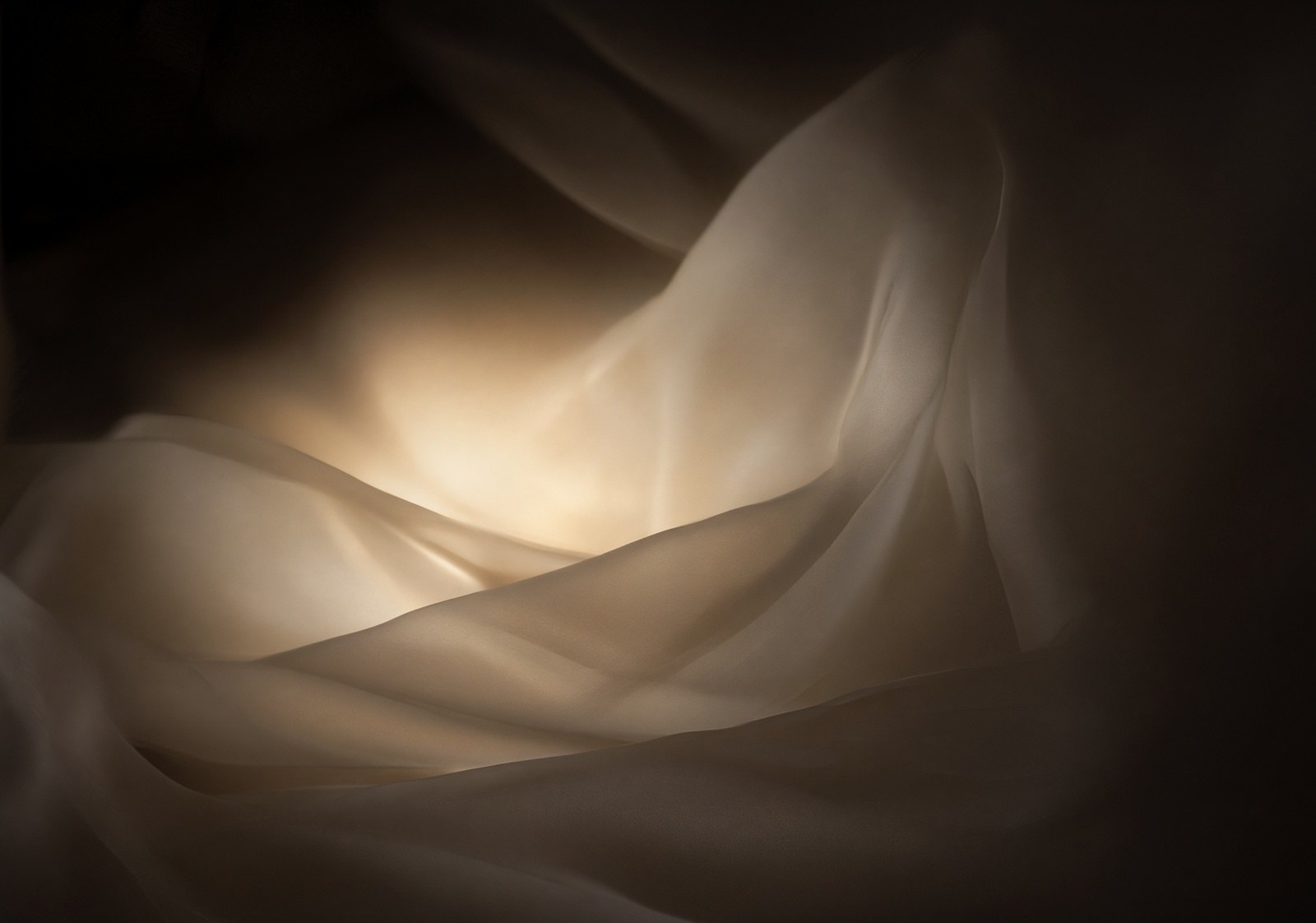 Soft champagne light through sheer silk